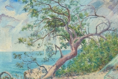 Камень-Айвазовского-50х60-ХМ