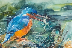 Зимородок-на-охоте